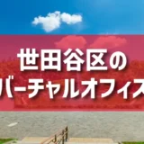世田谷区（下北沢・駒沢・三軒茶屋・二子玉川エリア）のバーチャルオフィス一覧